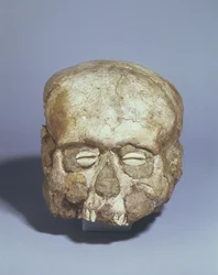 Portrait skull with cowrie shell eyes, Jericho